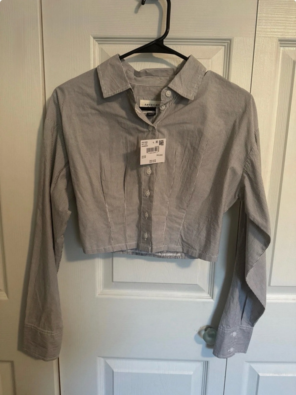American Eagle Outfitters Blue and white Pinstripe Cropped Button-Down Shirt